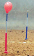 Set of 10 CMSA Approved Balloon Sticks